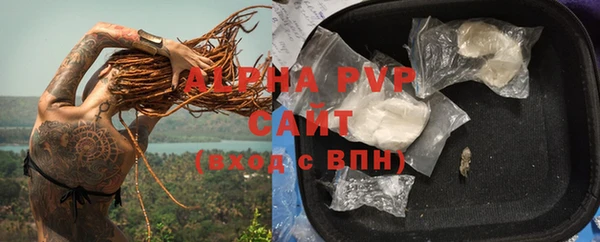 крисы Алексин