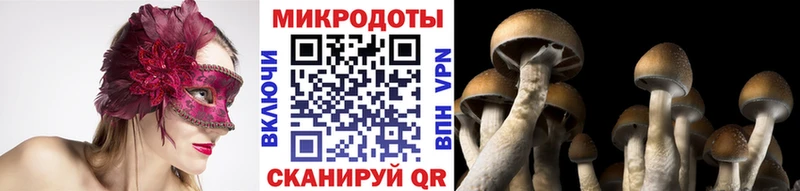 где найти   Нижние Серги  Псилоцибиновые грибы Psilocybine cubensis 